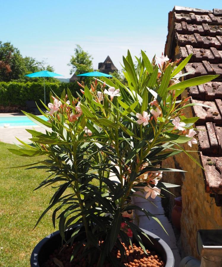 Le Clos De La Musardise - Gites De Charme Avec Piscine Chauffee Salignac Eyvigues المظهر الخارجي الصورة